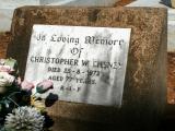 image of grave number 946448